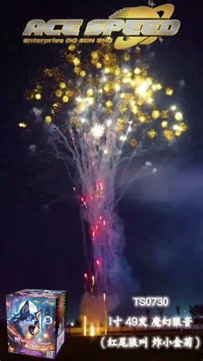 49 MAGIC SHOT WOLF SOUND - ACE PYRO #fireworks #pyrotechnica #happynewyear