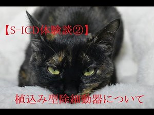 【S-ICD体験記②】植込み型除細動器について