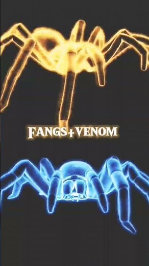 trapdoor spider vs whistling tarántula (monster bug wars fights)