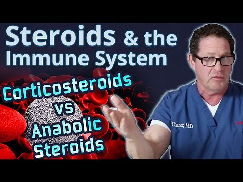Steroids and the Immune System - Corticosteroids vs. Anabolic Steroids - Doctor's Analysis