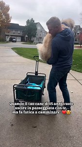 Il video più dolce che vedrai oggi..❤️😍 (Credit & Thx: @zeek.thewonderdog) La casa dei cani matti Cane Cani Cane anziano Dog Golden retriever • • • #lacasadeicanimatti #goldenretriever #goldenretrieverlove #goldenretrievers #cane #cani #dog #dogs #caneanziano #accessoripercani | La_Casa_Dei_Cani_Matti