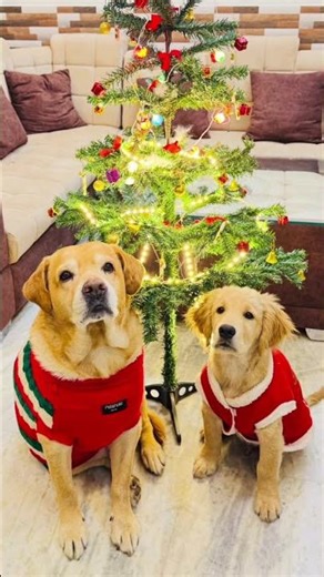 # Reo mera bhai hai 🥰💕