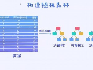 随机森林的构造（一）#随机森林 #机器学习 #AI算法 #人工智能算法