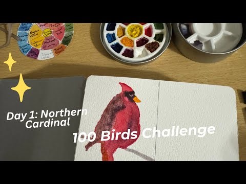 Day 1 Northern Cardinal of 100 Days Challenge