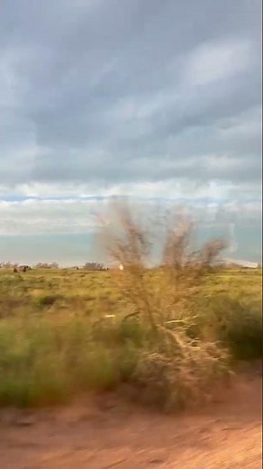 Driving Through, Australian Outback, Adventure Tours Australia from Georgia B. 🇦🇺
