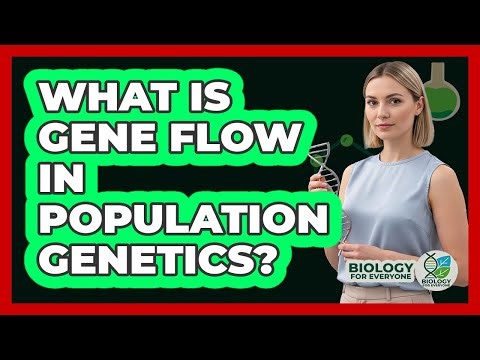 What Is Gene Flow in Population Genetics?