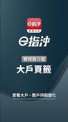 雙視窗介面 ─ 大戶頁籤【華南e指沖 APP 操作教學】