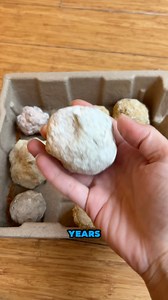 Growithjessie on Reels