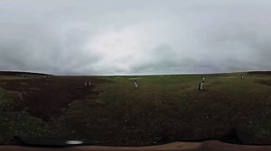 74K views · 257 reactions | Check out this unique 360° video of...