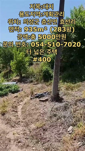 터 넓은 주택 #의성주말농장지 #의성주말농장 #의성땅 #의성땅매매 #의성땅매물 #의성토지매매 #의성토지 #의성군땅 #의성싼땅 #의성부동산