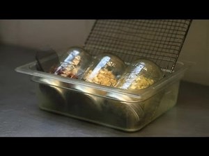 How to Make Homemade Sprouts : Nutritious Dishes