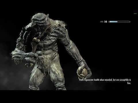 How to Install Skyrim Together on Steam Deck/Linux - Complete Setup Guide 2025