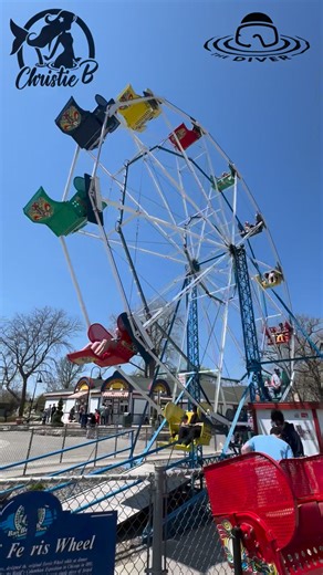 This past Summer, we decided to take a break from diving and go to Bay Beach Amusement Park for a fun time. 😃👍 Fun fact: when I was on a field trip here in First Grade, the Lena school bus left me and another kid to play longer… they ended up coming back to get us! 🤣🤣 #rollercoaster #fun #ferriswheel #greenbay #wisconsin | Ed the Diver