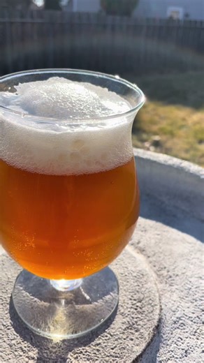 Introducing “Assemblage” With homegrown Cascade Hops from 2024 and 2025 tossed in the mash this is one shines. The added Nectaron and Citra hops give it a slight bitterness from the end of the boil but the dryhop addition of Cascade and Sabro give it a nice tropical vibe. #craftbeer #beertiktok #beertok #homebrew #homebrewer
