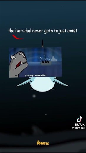 Narwhals song #funny #fyp #meme