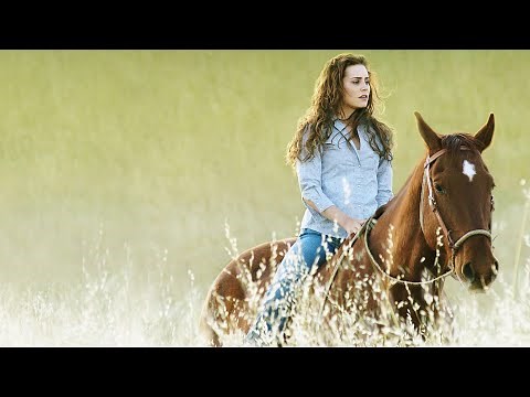 Flicka Full Movie Facts And Review / Alison Lohman / Tim McGraw