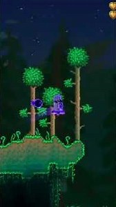 This is how to see shimmer/Aether biome in terraria