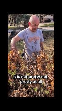 Working in the garden to get ready for Spring