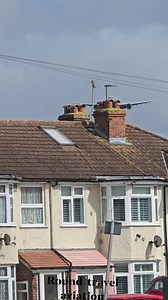 16K views · 50 reactions | American Airlines  So.amazing landing  | Round Travel aviation | Facebook