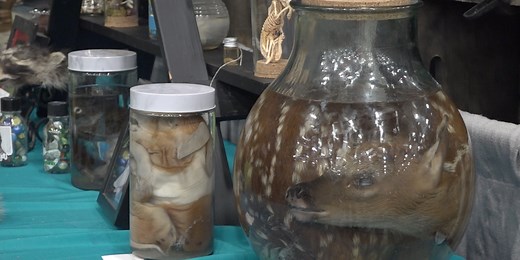 Maine’s Odd and Unusual Show Returns