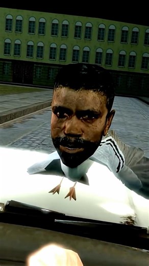 i’m sorry pigeon 2