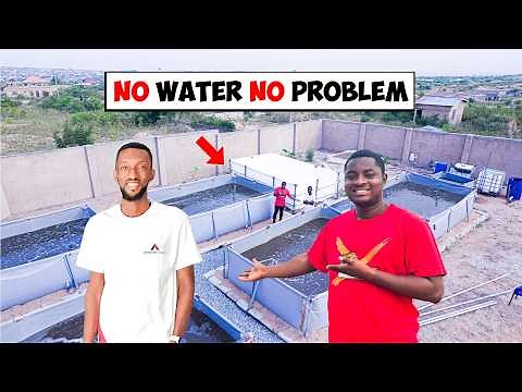 No Water Changes?! This Farmer’s Revolutionary Fish Farming Method Will Shock You! #aquaculture