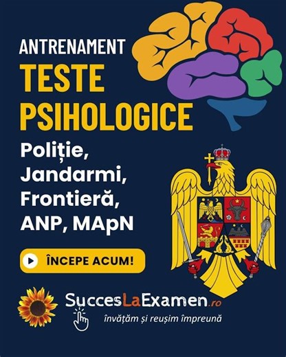Antrenament Teste Psihologice MAI Poliție Jandarmi ANP MApN