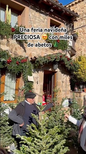 Christmas fair with thousands of fir trees 🌲 | Fair of the Fir of Espinelves, Catalonia | Christm...