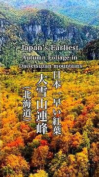 日本一早い大雪山紅葉 Japan’s Earliest Autumn Foliage Daisetsuza 北海道観光 旭岳 紅葉の名所 Hokkaido＃大雪山の紅葉＃紅葉の名所＃秋の北海道