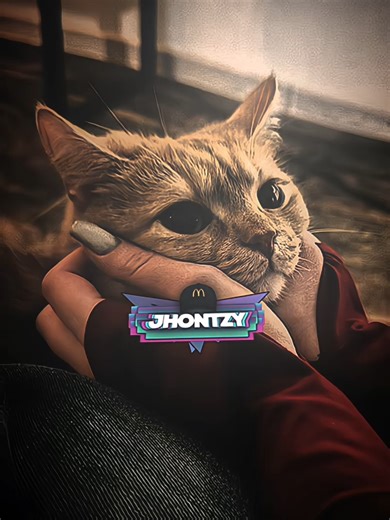 Alight Motion Preset for Stunning Edits