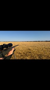 Hartebees hunt! | Henry Griffiths