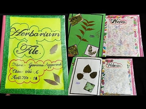 How to make Herbarium File | Science Project |