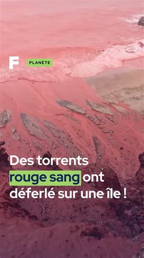 Futura on Instagram: "🩸 Il a plu du sang en Iran ! Sur l’île d’Ormuz, de spectaculaires torrents rouges ont surpris habitants et visiteurs. Le sol est saturé d’hématite, un oxyde de fer issu d’anciennes éruptions volcaniques, utilisé localement comme pigment naturel. 🟥⛏️ Des pluies diluviennes ont charrié cette terre rouge vers l’océan, créant des vagues impressionnantes. Bien que saisissant, ce phénomène est entièrement naturel et l’eau reste sans danger pour l’homme, hors risques liés aux in