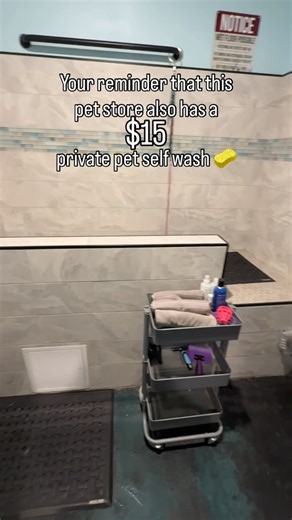 Spoiled Paws on Instagram: "Perfect for all dogs 💕 and you can bring multiple! 🐾 Tag us: @spoiledpaws_NV ☎️ +1 (702) 834-7753 📍 771 E Horizon Dr #112, Henderson, NV 89015 ⏰ OPEN EVERYDAY MON-SAT 8:00AM-7:00PM SUN: 9:00AM-6:00PM #nevada #petstore #henderson"