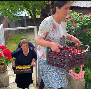 A Taste of Life in the Mountains! Culinary Adventure in a Remote Village #Village #Show #Cooking | Village Show