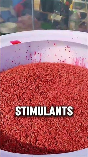 Why Some Seeds Are Bright Red or Blue