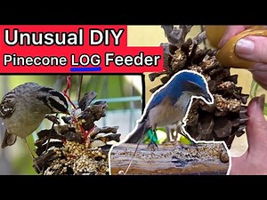 How to Make a Bird Feeder Log Pinecone or branch-EASY*CHEAP*CLEAN Craft Method All Wildbirds Love ❤️