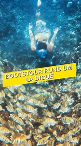🚤 Traumhafter Bootstrip Schnorcheln bei La Digue 🐠🌴 Erlebe das Paradies vom Wasser aus! 🌊 Unser Bootsausflug rund um La Digue bringt dich zu einsamen Stränden, türkisfarbenem Wasser und atemberaubenden Schnorchelspots 🐢🐠. Pack deine Maske ein – hier beginnt dein Abenteuer! 🏝️☀️ #LaDigue #Seychellen #Bootsausflug #Schnorcheln #Inselhopping #Trauminsel #ParadiesGefunden #SeychellenErleben #Tropenabenteuer #Unterwasserwelt | Seyvillas, dein Seychellen Profi