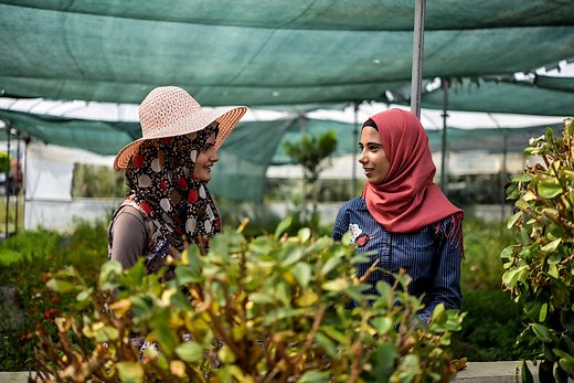 Get involved | Resource Mobilization | Food and Agriculture Organization of the United Nations