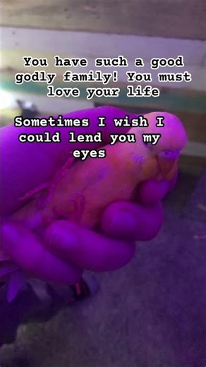 Uh no #vent #misunderstanding