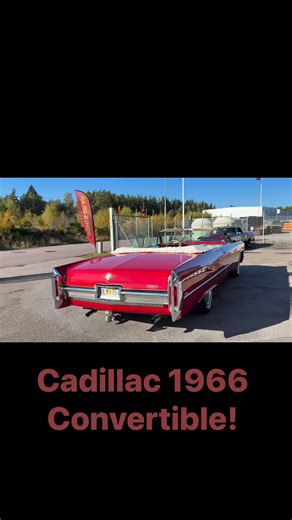 Cadillac 1966 Convertible for Sale! | Bohls bilar