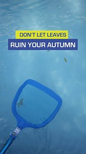 Get your pool leaf cleaner! 🍂💦 No more chasing leaves — scoop, clean, and keep your pool sparkling effortlessly. Make pool maintenance a breeze with Blu52. #Blu52 #LeafItToUs #EffortlessPoolCare #CrystalClearAllYear | BLU52