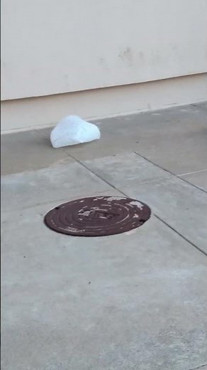 Plastic bag blowing in the wind