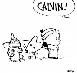 Dogs Love Fire Hydrants - TV Tropes