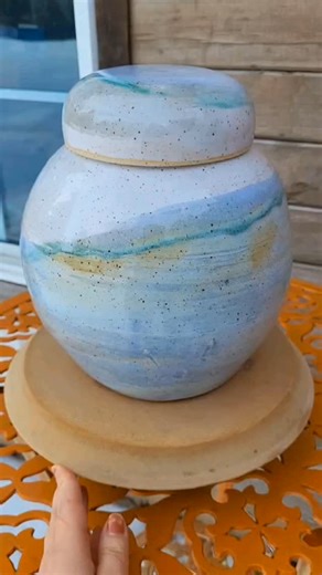 turtle + bird on Instagram