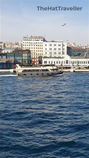 Cruise Ship Sailing the Bosphorus 🌊 Istanbul #bosphorus #ambient #nocommentary