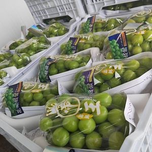 [Hot Item] Chinese Crimson Seedless Shine Muscat Grapes Wholesale Price