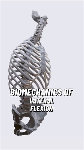 Bradley Blair Osteopath | Lateral flexion of the spine occurs in the frontal (coronal) plane and involves a complex interplay of vertebrae, intervertebral discs,... | Instagram