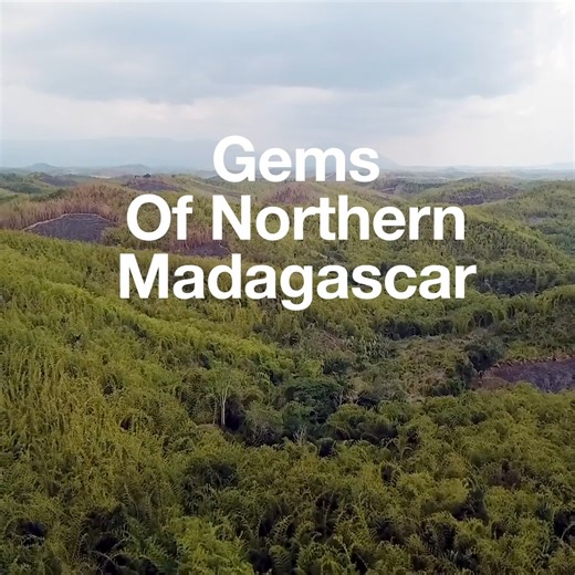 Madagascar, a gemstone wonder, is explored by GIA's Field Gemology Manager, Wim Vertriest. He retraces the island's gemstone history and shares experiences from a recent expedition to two remote mines in Northern Madagascar: a demantoid and a sapphire mine. Watch the full video here: https://bit.ly/3UnTFPY | GIA Education