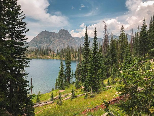 Steamboat Springs Summer: 23 Best Things To Do [By A Steamboat Local]